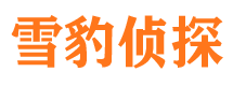 资中外遇调查取证